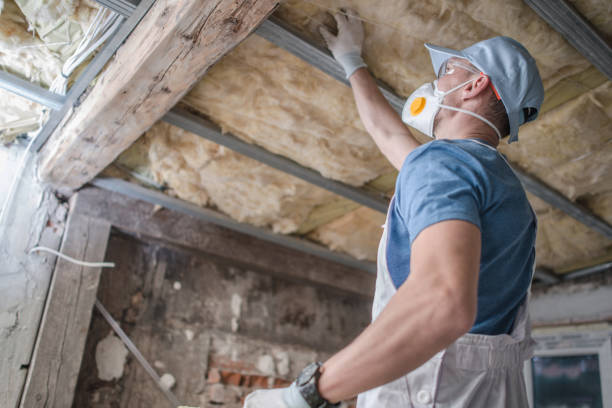 Types of Insulation We Offer in Hillcrest, IL